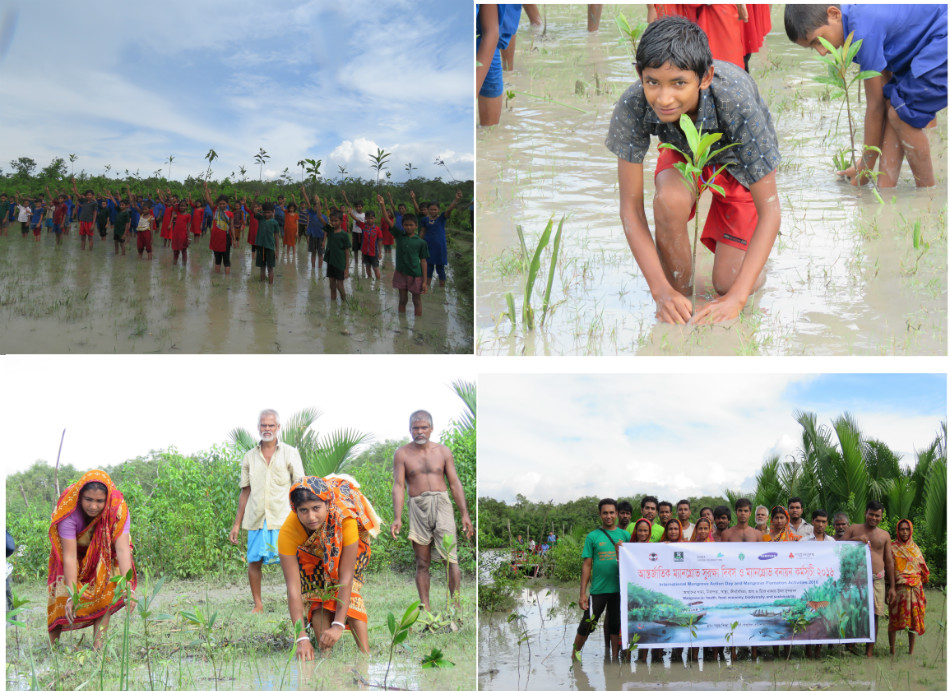 Mangrove action Day-16.jpg