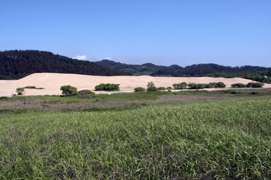 클릭하시면 원본크기의 이미지를 볼 수 있습니다.