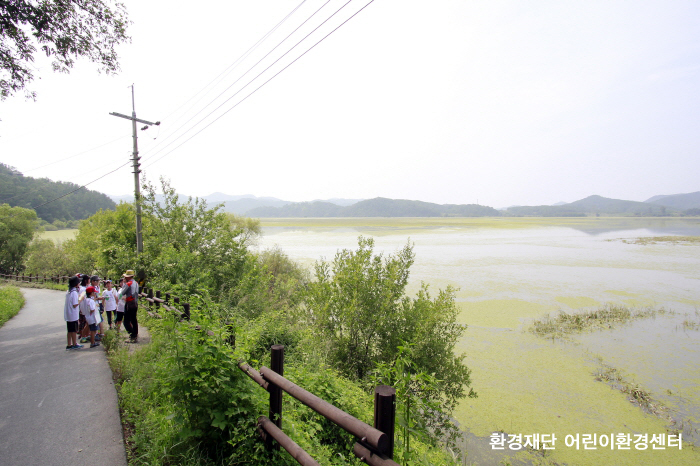 클릭하시면 원본크기의 이미지를 볼 수 있습니다.