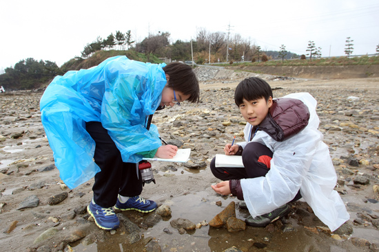 클릭하시면 원본크기의 이미지를 볼 수 있습니다.